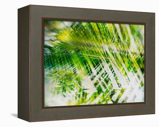 Evergreen No. 11-Sven Pfrommer-Framed Premier Image Canvas