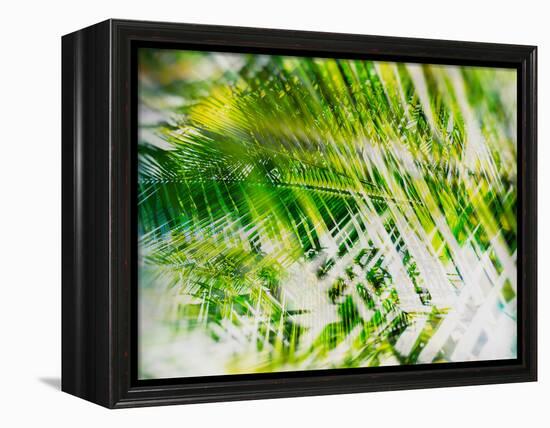 Evergreen No. 11-Sven Pfrommer-Framed Premier Image Canvas