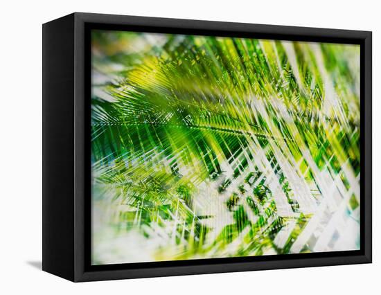 Evergreen No. 11-Sven Pfrommer-Framed Premier Image Canvas