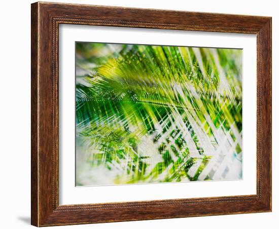 Evergreen No. 11-Sven Pfrommer-Framed Photographic Print