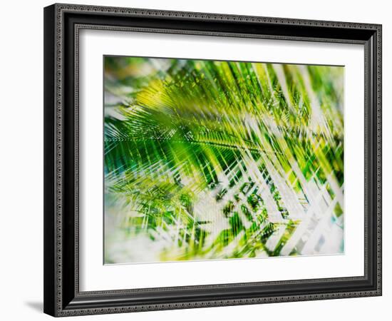 Evergreen No. 11-Sven Pfrommer-Framed Photographic Print