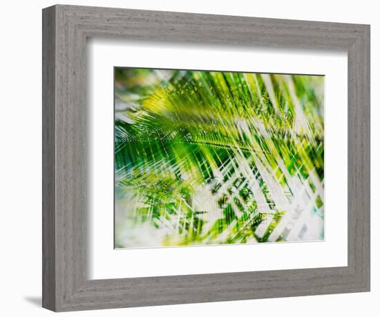 Evergreen No. 11-Sven Pfrommer-Framed Photographic Print