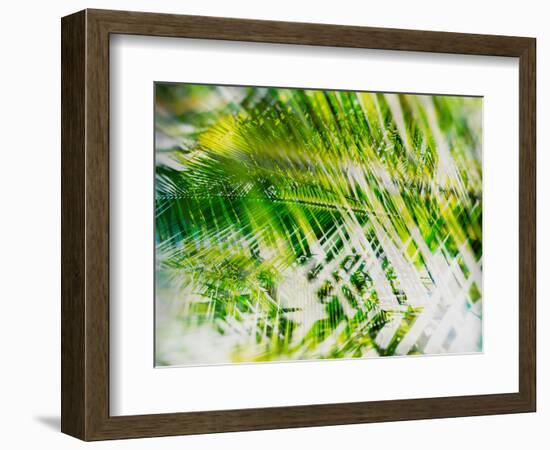 Evergreen No. 11-Sven Pfrommer-Framed Photographic Print