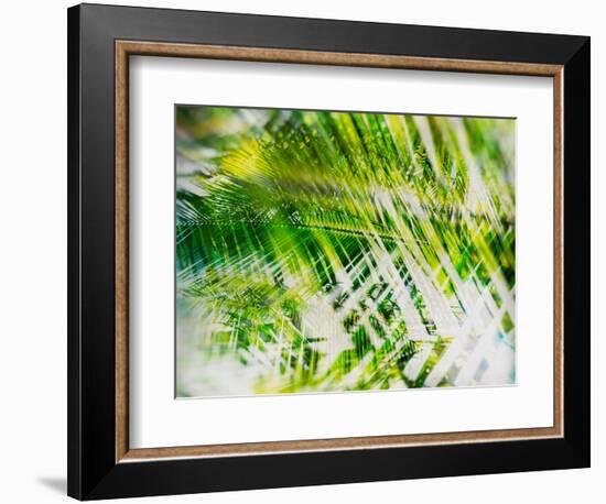 Evergreen No. 11-Sven Pfrommer-Framed Photographic Print