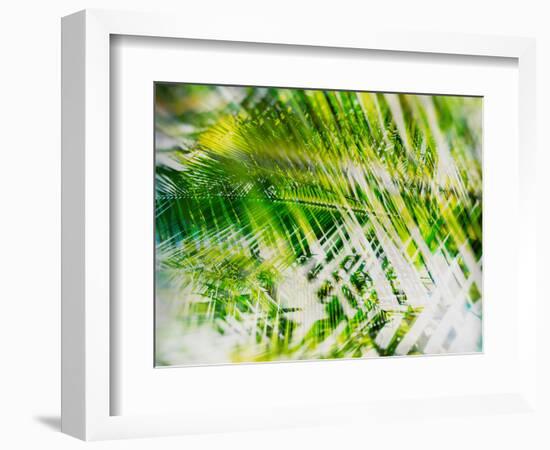 Evergreen No. 11-Sven Pfrommer-Framed Photographic Print