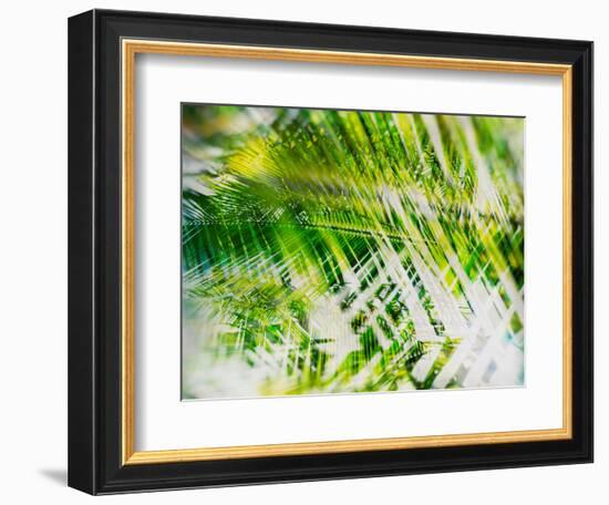 Evergreen No. 11-Sven Pfrommer-Framed Photographic Print