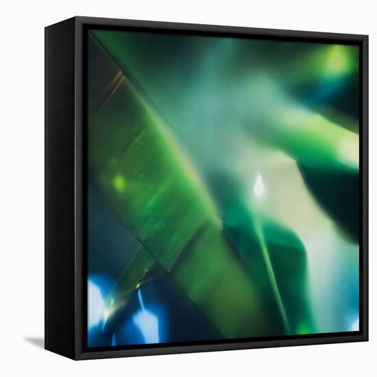 Evergreen No. 1-Sven Pfrommer-Framed Premier Image Canvas