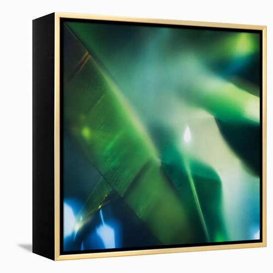 Evergreen No. 1-Sven Pfrommer-Framed Premier Image Canvas