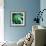 Evergreen No. 1-Sven Pfrommer-Framed Photographic Print displayed on a wall