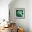 Evergreen No. 1-Sven Pfrommer-Framed Photographic Print displayed on a wall