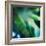 Evergreen No. 1-Sven Pfrommer-Framed Photographic Print