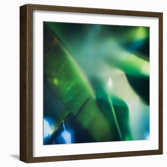 Evergreen No. 1-Sven Pfrommer-Framed Photographic Print