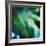 Evergreen No. 1-Sven Pfrommer-Framed Photographic Print