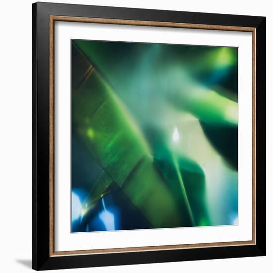 Evergreen No. 1-Sven Pfrommer-Framed Photographic Print