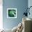 Evergreen No. 1-Sven Pfrommer-Framed Photographic Print displayed on a wall