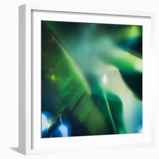 Evergreen No. 1-Sven Pfrommer-Framed Photographic Print