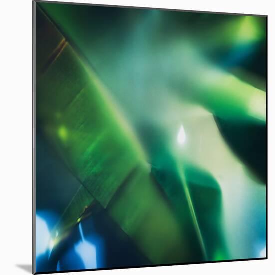 Evergreen No. 1-Sven Pfrommer-Mounted Photographic Print