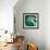 Evergreen No. 1-Sven Pfrommer-Framed Photographic Print displayed on a wall