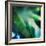 Evergreen No. 1-Sven Pfrommer-Framed Photographic Print