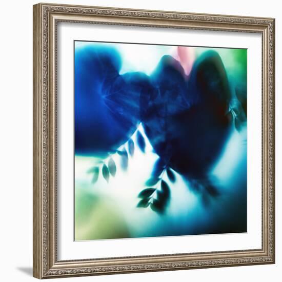 Evergreen No. 2-Sven Pfrommer-Framed Photographic Print