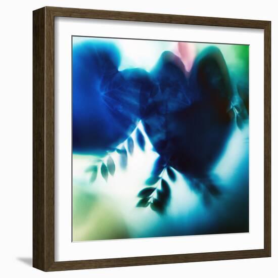 Evergreen No. 2-Sven Pfrommer-Framed Photographic Print