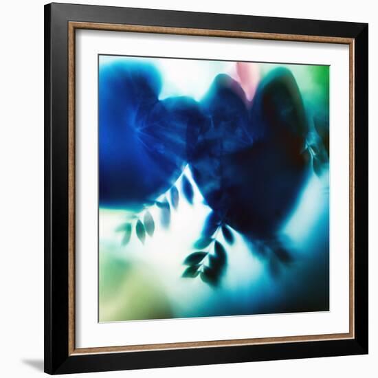 Evergreen No. 2-Sven Pfrommer-Framed Photographic Print