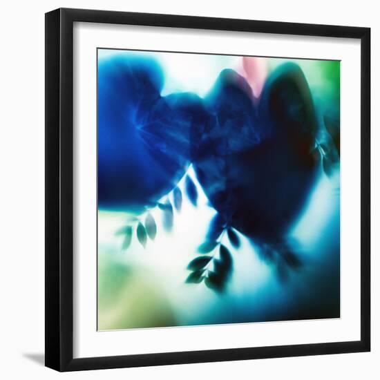 Evergreen No. 2-Sven Pfrommer-Framed Photographic Print