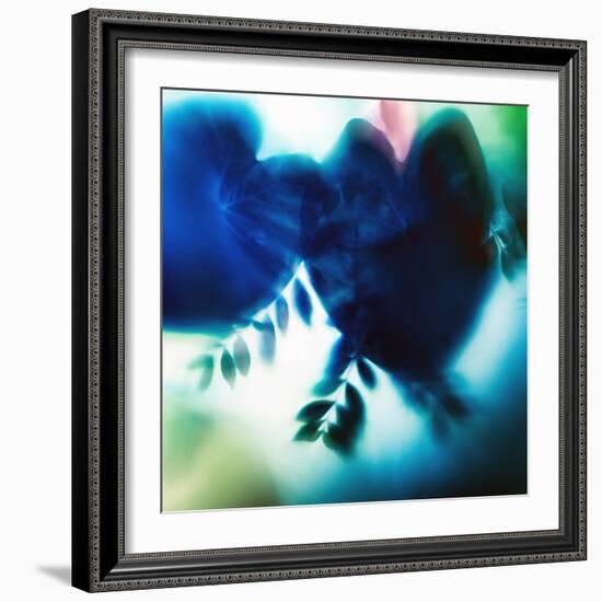 Evergreen No. 2-Sven Pfrommer-Framed Photographic Print