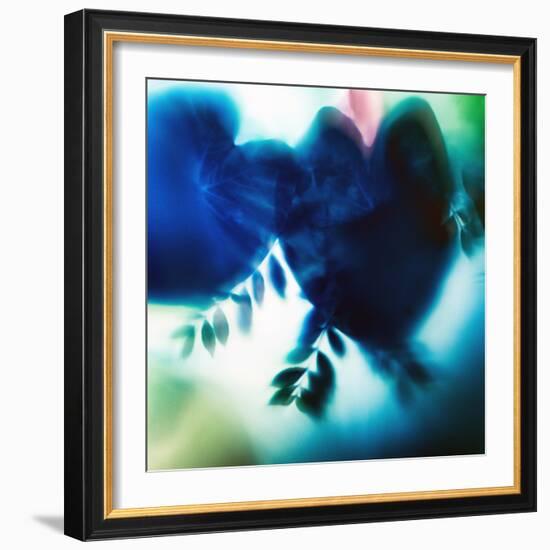 Evergreen No. 2-Sven Pfrommer-Framed Photographic Print