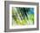 Evergreen No. 6-Sven Pfrommer-Framed Photographic Print