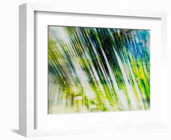 Evergreen No. 6-Sven Pfrommer-Framed Photographic Print