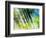 Evergreen No. 6-Sven Pfrommer-Framed Photographic Print