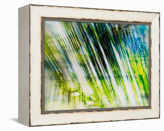 Evergreen No. 6-Sven Pfrommer-Framed Premier Image Canvas