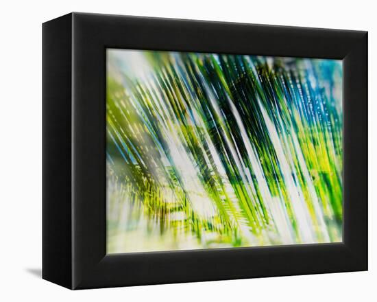 Evergreen No. 6-Sven Pfrommer-Framed Premier Image Canvas