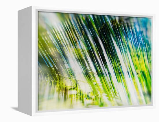 Evergreen No. 6-Sven Pfrommer-Framed Premier Image Canvas