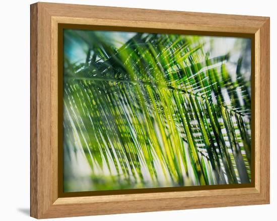 Evergreen No. 8-Sven Pfrommer-Framed Premier Image Canvas