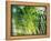 Evergreen No. 8-Sven Pfrommer-Framed Premier Image Canvas