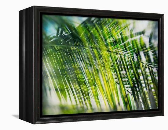 Evergreen No. 8-Sven Pfrommer-Framed Premier Image Canvas