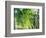 Evergreen No. 8-Sven Pfrommer-Framed Photographic Print