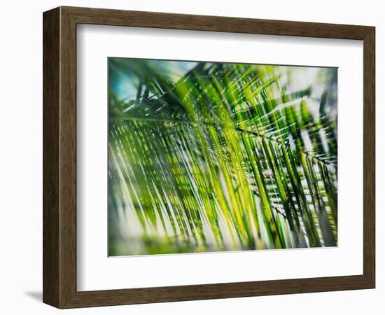 Evergreen No. 8-Sven Pfrommer-Framed Photographic Print