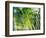 Evergreen No. 8-Sven Pfrommer-Framed Photographic Print