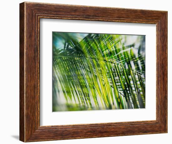 Evergreen No. 8-Sven Pfrommer-Framed Photographic Print