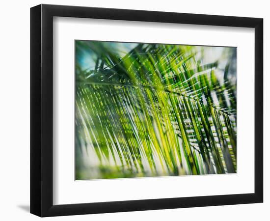 Evergreen No. 8-Sven Pfrommer-Framed Photographic Print