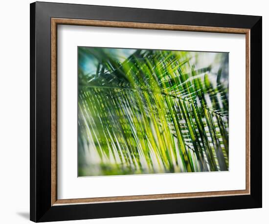 Evergreen No. 8-Sven Pfrommer-Framed Photographic Print