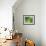 Evergreen No. 8-Sven Pfrommer-Framed Photographic Print displayed on a wall