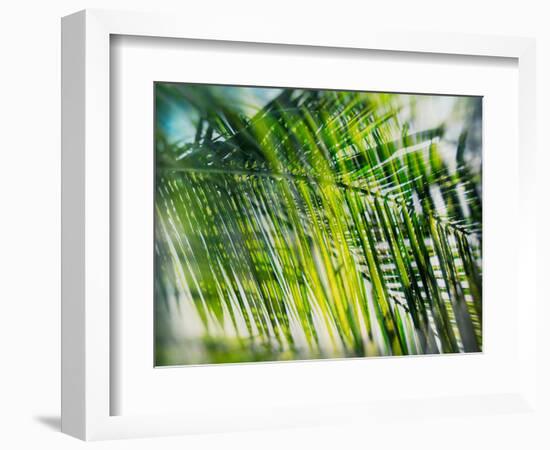 Evergreen No. 8-Sven Pfrommer-Framed Photographic Print