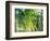 Evergreen No. 8-Sven Pfrommer-Framed Photographic Print