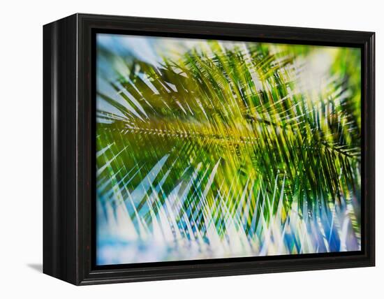 Evergreen No. 9-Sven Pfrommer-Framed Premier Image Canvas