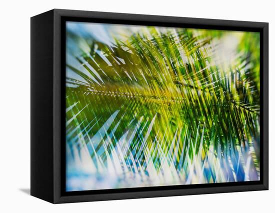 Evergreen No. 9-Sven Pfrommer-Framed Premier Image Canvas