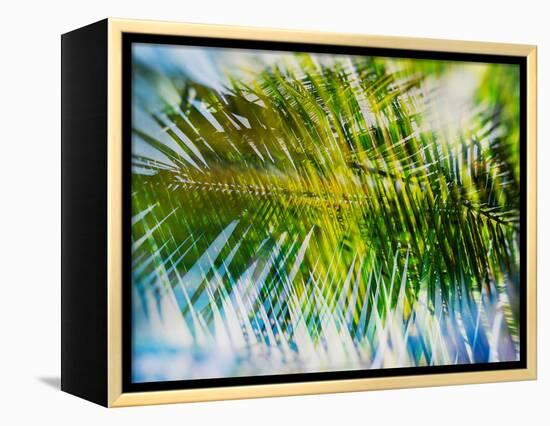 Evergreen No. 9-Sven Pfrommer-Framed Premier Image Canvas